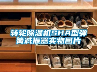 常見問題轉輪91看片在线下载機SHA型彈簧減振器實物圖片