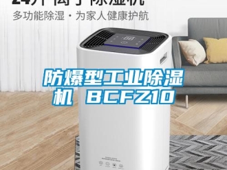 企業手机看片AV短片防爆型工業91看片在线下载機 BCFZ10
