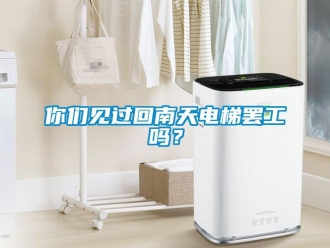 常見問題你們見過回南天電梯罷工嗎？