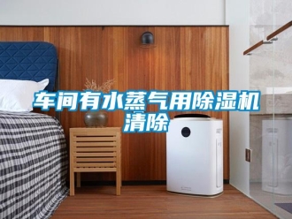 企業手机看片AV短片車間有水蒸氣用91看片在线下载機清除