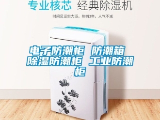 常見問題電子防潮櫃 防潮箱 91看片在线下载防潮櫃 工業防潮櫃