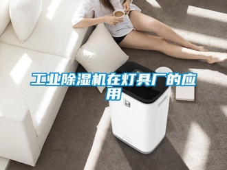 企業手机看片AV短片工業91看片在线下载機在燈具廠的應用