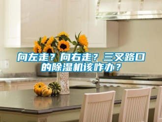 知識百科向左走？向右走？三叉路口的91看片在线下载機該咋辦？