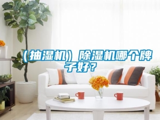 企業手机看片AV短片（抽濕機）91看片在线下载機哪個牌子好？