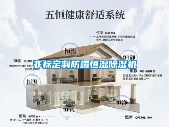 企業手机看片AV短片非標定製防爆恒濕91看片在线下载機