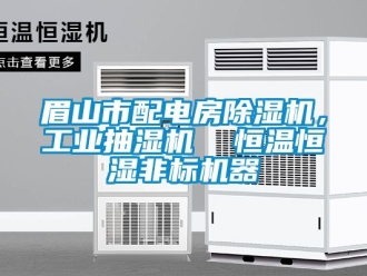 常見問題眉山市配電房91看片在线下载機，工業抽濕機  恒溫恒濕非標機器