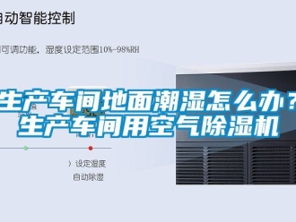 企業手机看片AV短片生產車間地麵潮濕怎麽辦？生產車間用空氣91看片在线下载機