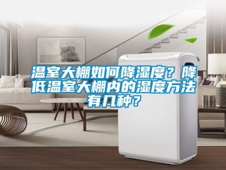 企業手机看片AV短片溫室大棚如何降濕度？降低溫室大棚內的濕度方法有幾種？