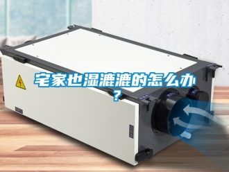 常見問題宅家也濕漉漉的怎麽辦？
