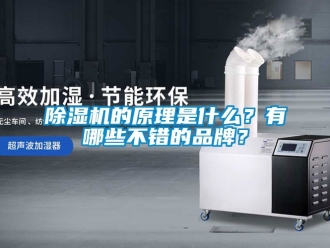 企業手机看片AV短片91看片在线下载機的原理是什麽？有哪些不錯的品牌？