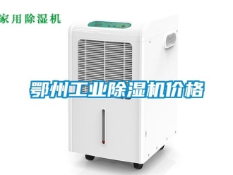 常見問題鄂州工業91看片在线下载機價格