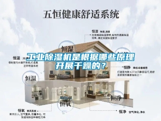 企業手机看片AV短片工業91看片在线下载機是根據哪些原理開展幹躁的？