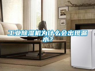 企業手机看片AV短片工業91看片在线下载機為什麽會出現漏水？