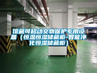 知識百科館藏可移動文物保護專用設備（恒溫恒濕儲藏櫃-智能淨化恒濕儲藏櫃）