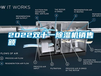 常見問題2022雙十一91看片在线下载機銷售額