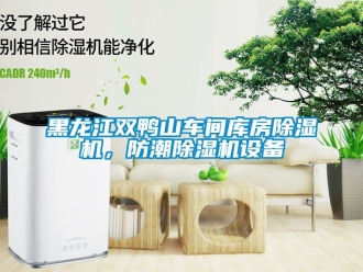 企業手机看片AV短片黑龍江雙鴨山車間庫房91看片在线下载機，防潮91看片在线下载機設備