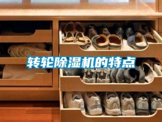 常見問題轉輪91看片在线下载機的特點