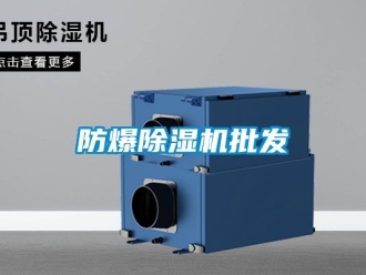 企業手机看片AV短片防爆91看片在线下载機批發