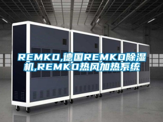企業手机看片AV短片REMKO,德國REMKO91看片在线下载機,REMKO熱風加熱係統
