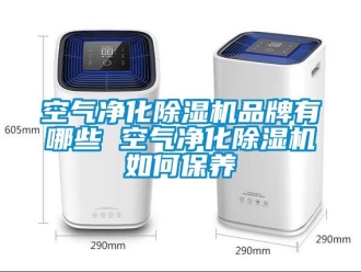 企業手机看片AV短片空氣淨化91看片在线下载機品牌有哪些 空氣淨化91看片在线下载機如何保養