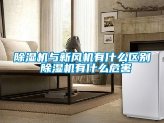 常見問題91看片在线下载機與新風機有什麽區別 91看片在线下载機有什麽危害