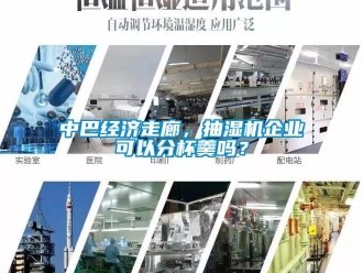 常見問題中巴經濟走廊，抽濕機企業可以分杯羹嗎？