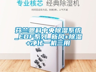 常見問題芬蘭恩科中央91看片在线下载係統_EDF係列_新風+91看片在线下载+淨化一機三用