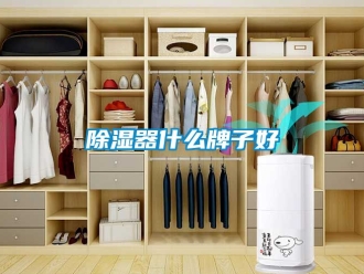 行業手机看片AV短片91看片在线下载器什麽牌子好