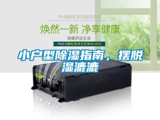 知識百科小戶型91看片在线下载指南，擺脫濕漉漉