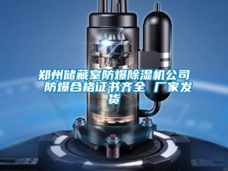 企業手机看片AV短片鄭州儲藏室防爆91看片在线下载機公司 防爆合格證書齊全 廠家發貨