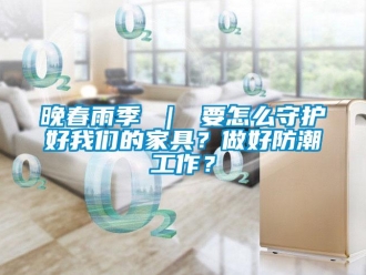 常見問題晚春雨季 ｜ 要怎麽守護好91免费看片APP的家具？做好防潮工作？