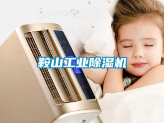 常見問題鞍山工業91看片在线下载機