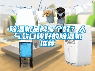 企業手机看片AV短片91看片在线下载機品牌哪個好？人氣款口碑好的91看片在线下载機推薦