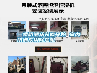 知識百科一樓防潮從裝修開始 室內防潮專用91看片在线下载機