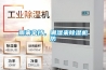 雨來傘擋，潮濕來91看片在线下载機防