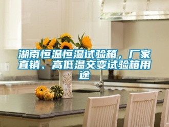 知識百科湖南恒溫恒濕試驗箱，廠家直銷、高低溫交變試驗箱用途