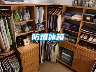 企業手机看片AV短片防爆冰箱