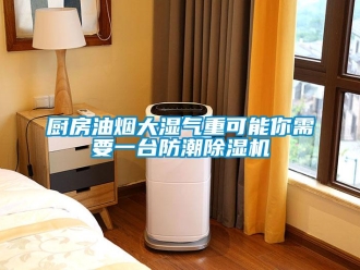 企業手机看片AV短片廚房油煙大濕氣重可能你需要一台防潮91看片在线下载機