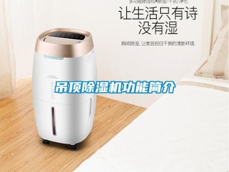 企業手机看片AV短片吊頂91看片在线下载機功能簡介
