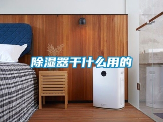 行業手机看片AV短片91看片在线下载器幹什麽用的