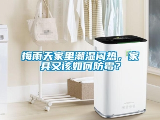 常見問題梅雨天家裏潮濕悶熱，家具又該如何防黴？