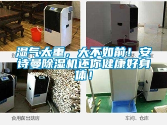 企業手机看片AV短片濕氣太重，大不如前！91免费看片APP91看片在线下载機還你健康好身體！