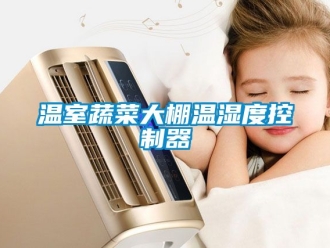 企業手机看片AV短片溫室蔬菜大棚溫濕度控製器