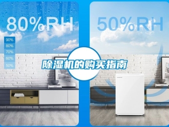 企業手机看片AV短片91看片在线下载機的購買指南