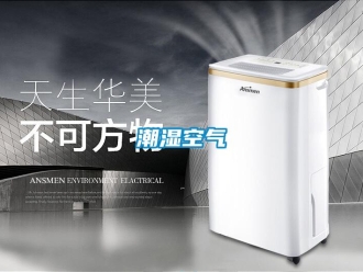 企業手机看片AV短片潮濕空氣