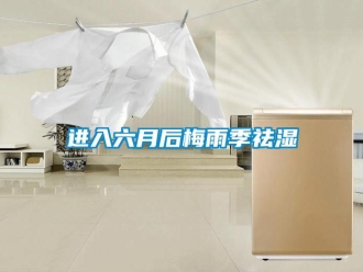 行業手机看片AV短片進入六月後梅雨季祛濕