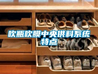 企業手机看片AV短片吹瓶吹膜中央供料係統特點