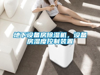 企業手机看片AV短片地下設備房91看片在线下载機，設備房濕度控製裝置