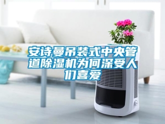 企業手机看片AV短片91免费看片APP吊裝式中央管道91看片在线下载機為何深受人們喜愛