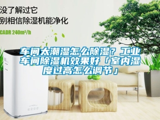 常見問題車間太潮濕怎麽91看片在线下载？工業車間91看片在线下载機效果好「室內濕度過高怎麽調節」